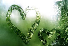 2020年有世界杯足球赛吗？赛程表是怎样的？